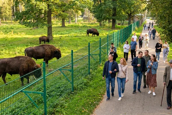 Куда сходить в Серпухове: события, прогулки и активный досуг города